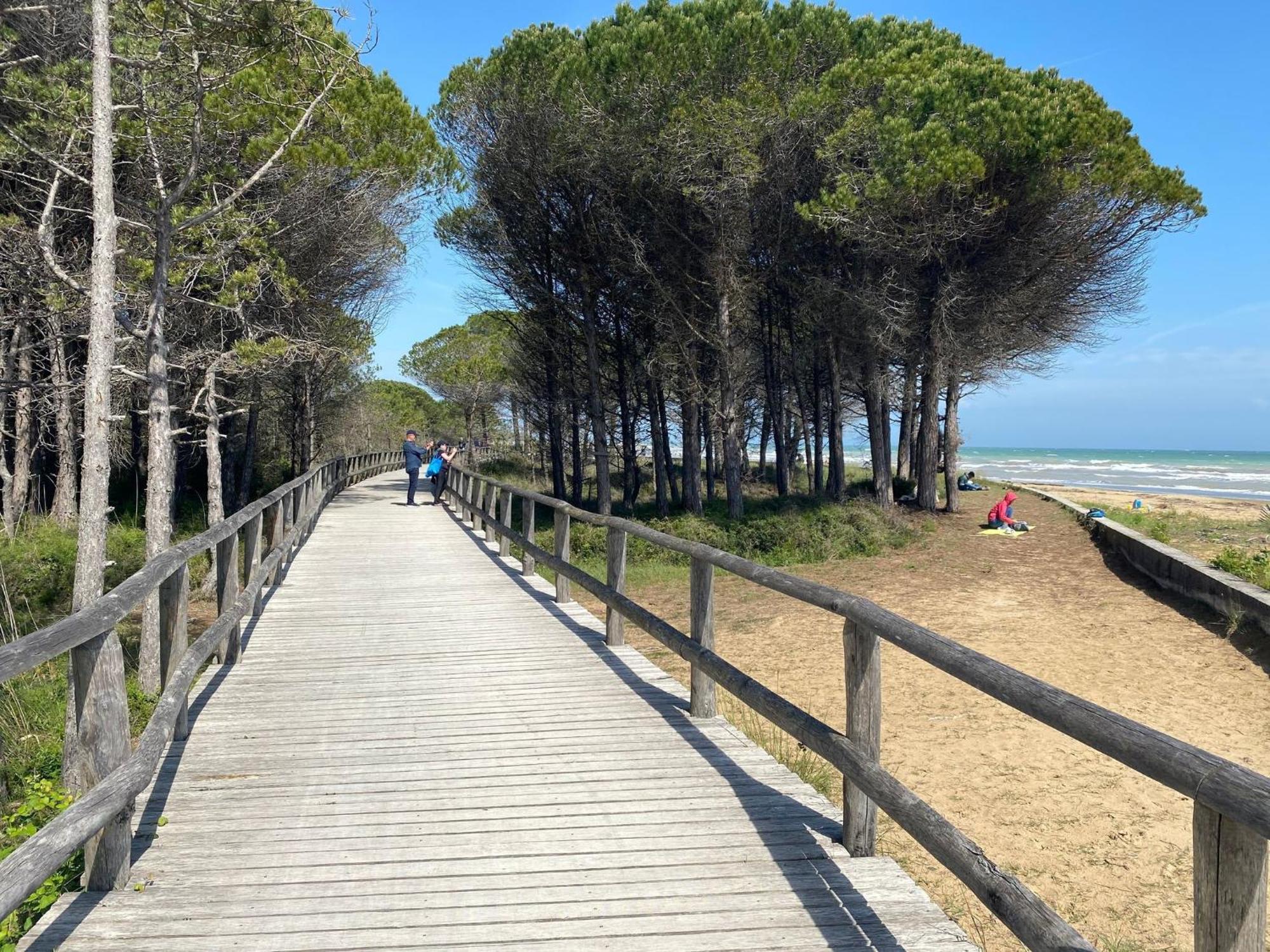 Lovely Flat In A With Pool - Beahost Apartment Bibione